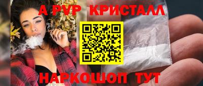 стаф Новодвинск