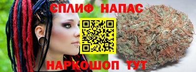стаф Новодвинск