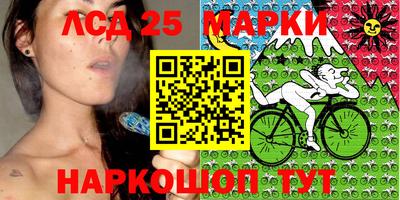 стаф Новодвинск
