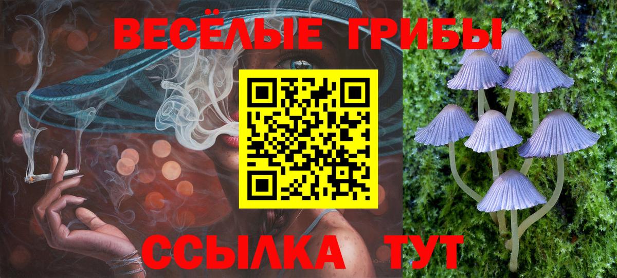Ханты-Мансийск  Псилоцибиновые грибы MAGIC MUSHROOMS  Псилоцибиновые грибы Psilocybe  Вход с VPN 